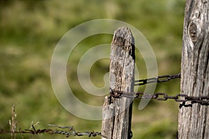 Old rusty barbed wire