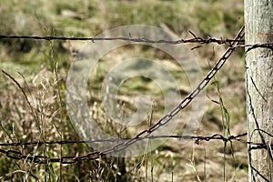 Old rusty barbed wire