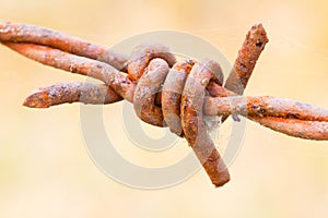 Old rusty barbed wire closeup