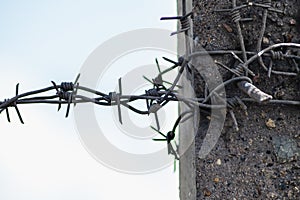 Old and rusty barbed wire with concrete pillar