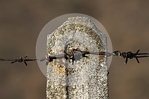 Old rusty barbed wire on a concrete post