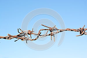 Old rusty barbed wire dark brown, full of scary clashed with be