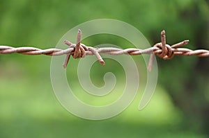 Old rusty barbed wire fence background blurred nature