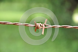 Old rusty barbed wire fence background blurred nature