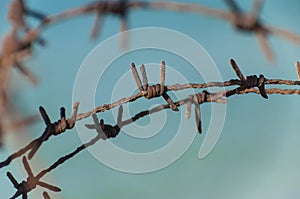 Old rusty barbed wire