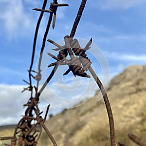 Old rusty barbed wire fence