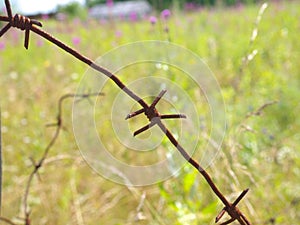 Old rusty barbed wire fence