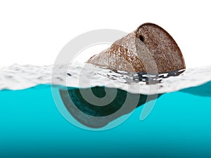 Old rusty barrel floating on the waves