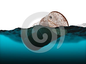 Old rusty barrel floating on the waves