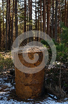 Old rusty barrel in the forest with haulms