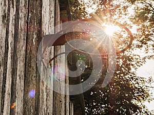 Old rusty basketball hoop mounted on a wooden wall of a barn of a farm. Popular sport. Practice and develop skill in tough rough