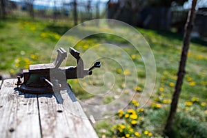 Old, rusty bench vice on wood table at springtime