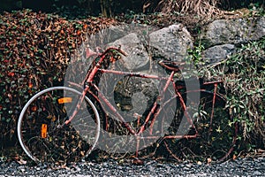 Old rusty bicycle thrown against the wall