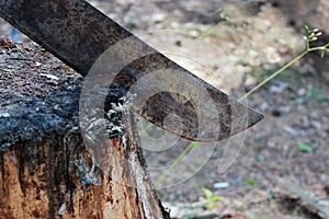 Viejo oxidado el gran un cuchillo palos afuera en tocón de árbol en naturaleza durante 