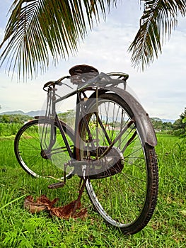 The Old Rusty Bike of Asian's Traditional Farmer