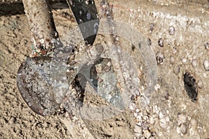 Old rusty boat engine propeller