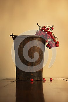 Old rusty bucket with rowanberries on old wooden table