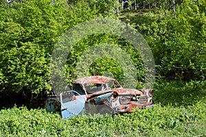 Old rusty car at garden