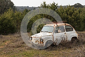 A old rusty car wreck standing in a garden