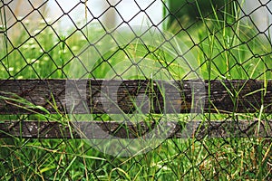 Old rusty chain link fence and green grass