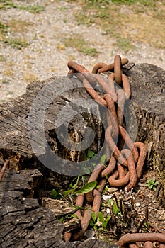 Old rusty chains texture.