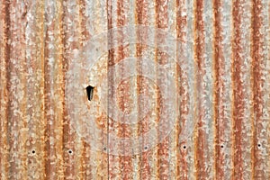 Old rusty corrugated iron wall