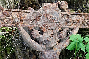 Old rusty cross lost in the woods