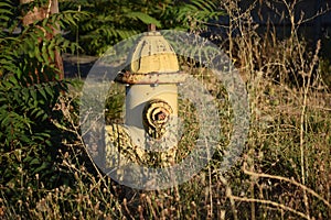 Old abandoned fire hydrant with rust
