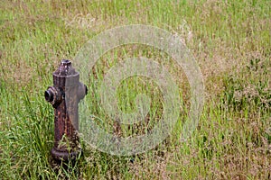 Old rusty fire hydrant in a field