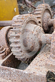 Old rusty gear