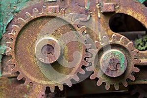 Old rusty gear overgrown with green moss