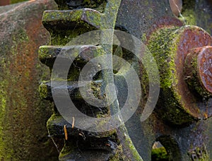 Old and rusty gear in the sunlight