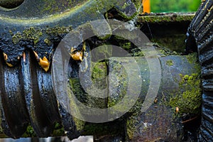 Old and rusty gear in the sunlight