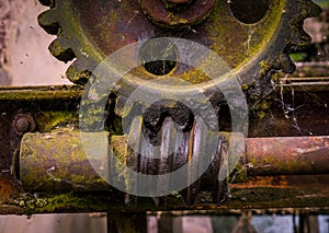 Old and rusty gear in the sunshine.