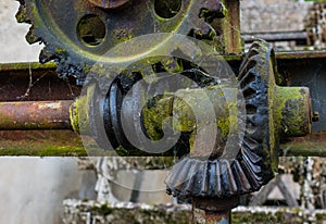 Old and rusty gear in the sunshine.