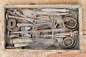 Old and rusty hand tool