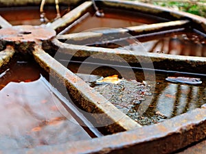 Old rusty hatch cover