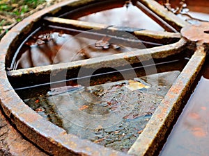 Old rusty hatch cover