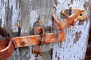 Old rusty hinges on wood door