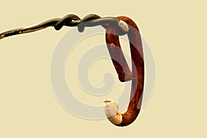 Old rusty hook.