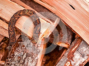 Old rusty horse shoe on a big wooden log. Symbol on luck in a country setting. Rural theme