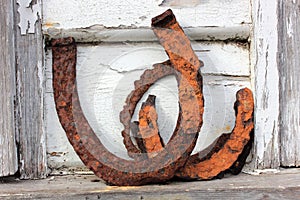 Old rusty horse shoes