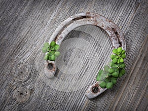 Old rusty horseshoe and four leaf clover