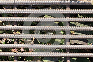 Old and rusty iron bars. In the background dried leaves and gras