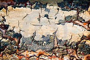 Old rusty iron wall background