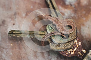 Old rusty keys in lock. Vintage door padlock with keys. Antique keys on weathered background with copy space. Security and safety.