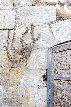 Old rusty loop on a rusty iron door fixed in a stone wall