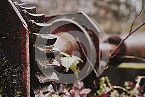 Old rusty machinery found at the experimental site 'Waterloopbos'