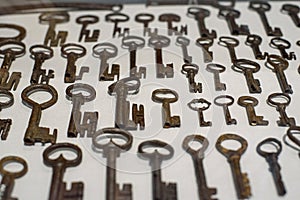 Old, rusty and medieval keys are displayed on white background