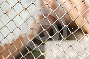 Old rusty metal grid. Grunge backdrop. Rustic textures